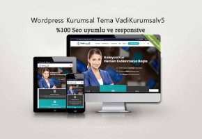 Wordpress kurumsal tema vadikurumsalv5 1 768x531